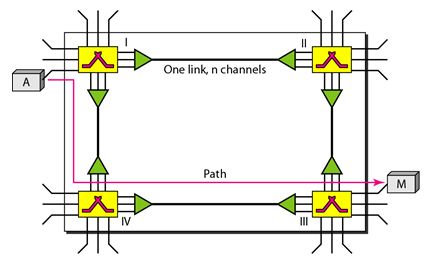 Circuit switched network